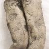 legs 2003